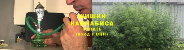 ГАЛЛЮЦИНОГЕННЫЕ ГРИБЫ Алексин