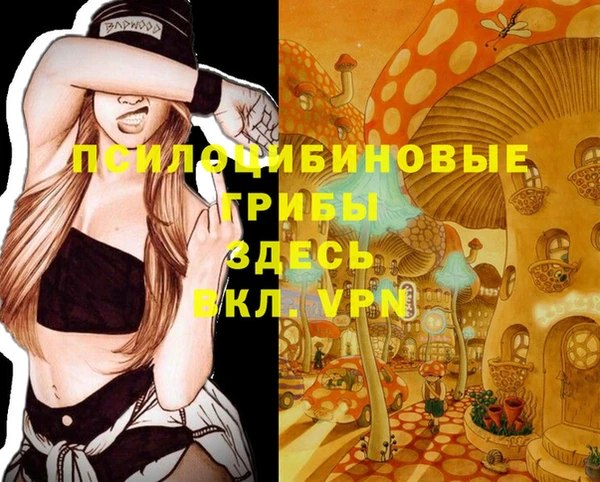 ГАЛЛЮЦИНОГЕННЫЕ ГРИБЫ Алексин