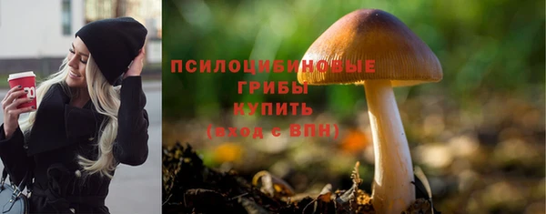 спайс Алексеевка