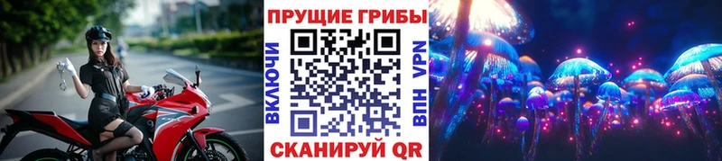 как найти Ковылкино ссылка на мегу вход Псилоцибиновые грибы ЛСД