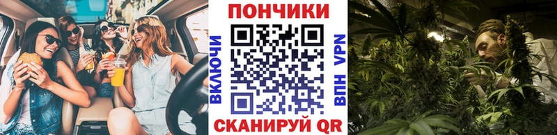 Бошки Шишки VHQ  как найти закладки  Ковылкино 